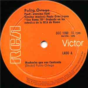 Palito Ortega - Muchacho Que Vas Cantando / Un Dia De Invierno