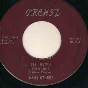 Many Others  - (Tell Me Why) I'm Alone / Can I Get A Witness