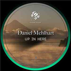 Daniel Mehlhart - Up In Here