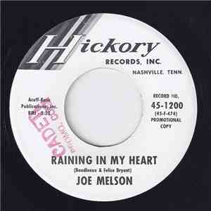 Joe Melson - Raining In My Heart