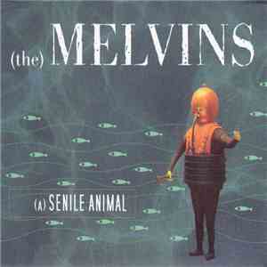 (The) Melvins - (A) Senile Animal