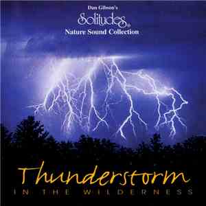 Dan Gibson - Thunderstorm In The Wilderness