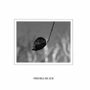 πEnsemble - Pădurea De Aur (Opus 2 In Re Major)