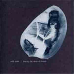 Seth Nehil - Tracing The Skins Of Clouds
