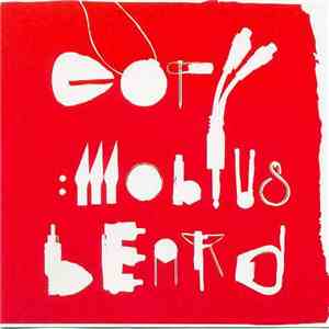 Copy - Mobius Beard