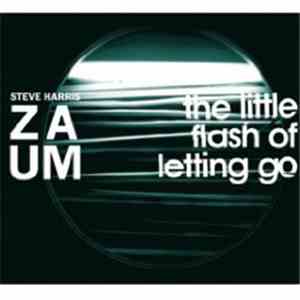 Zaum - The Little Flash Of Letting Go