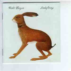 Vashti Bunyan - Lookaftering