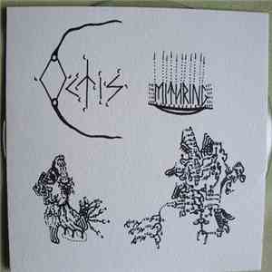Octis - Mithring 1