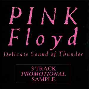 Pink Floyd - Delicate Sound Of Thunder (3 Track Promotional Sample)