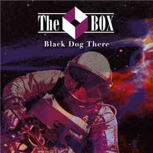 The Box  - Black Dog There