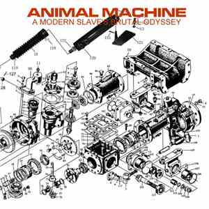 Animal Machine  - A Modern Slave's Brutal Odyssey