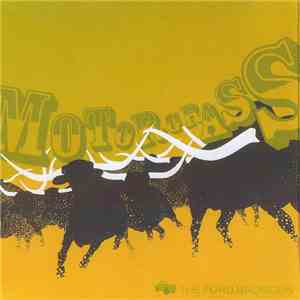 The Ford Broncos - Motorgrass