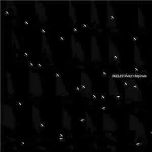 BB Pirate - Skeleton Key
