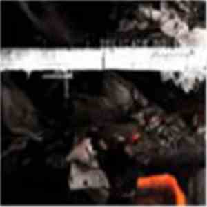 Delicate Noise - Diversion