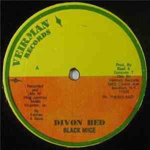 Black Mice / Little Roberts - Divon Bed / Sweet Girl