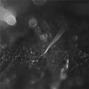 Reverse Projection - Realignment