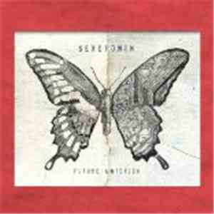 Serotonin - Future Anterior