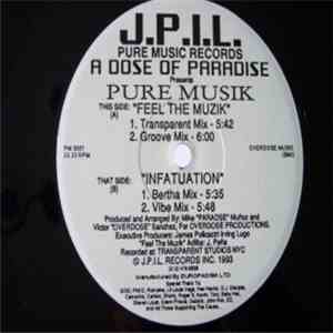 A Dose Of Paradise - Pure Musik