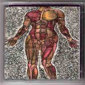 Fat Legs / The Two-Year Curse - Split