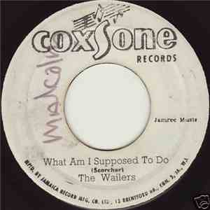 The Wailers - What Am I Supposed To Do