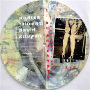 Andrea Chimenti, David Sylvian - Ti Ho Aspettato - I Have Waited For You