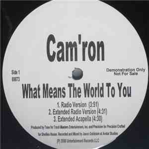 Cam'ron - What Means The World To You Remix