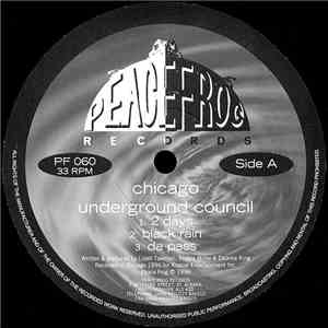 Chicago Underground Council - 2 Days