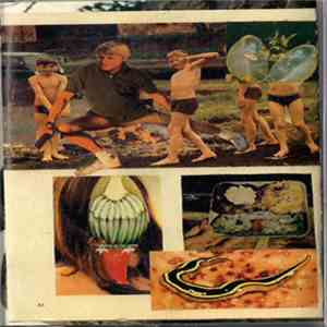 Crank Sturgeon / IDM Theft Table - Which Witch