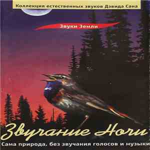 David Sun  - Звучание Ночи