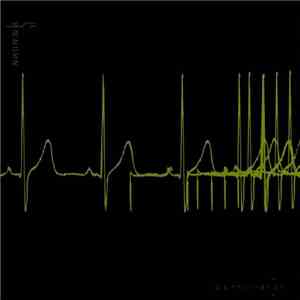 Usurp Synapse - Disinformation Fix