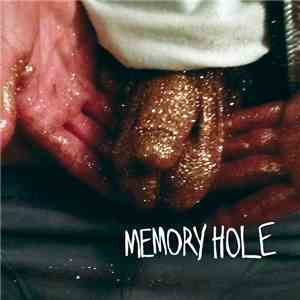 Memory Hole - Demo 2015