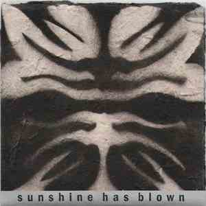 Sunshine Has Blown - Sunshine Has Blown