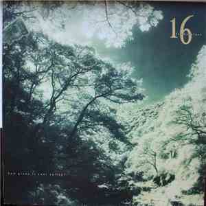 16 Tambourines - How Green Is Your Valley ?