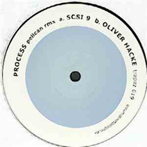 Process - Pelican (Remixes)