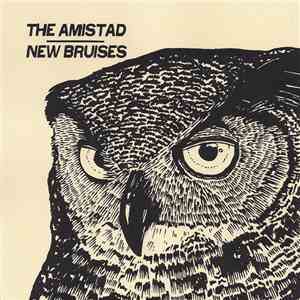 The Amistad / New Bruises - The Amistad / New Bruises