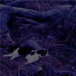Meryl Streaker - Sky Burial