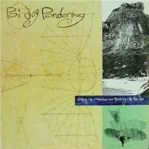 Poi Dog Pondering - Wishing Like A Mountain And Thinking Like The Sea
