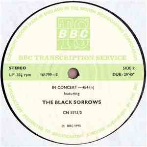 The Black Sorrows - In Concert-484