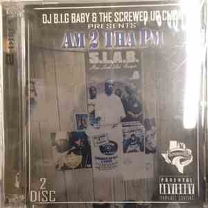 DJ B.I.G Baby - AM 2 Tha PM