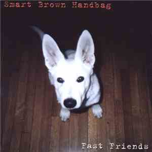 Smart Brown Handbag - Fast Friends