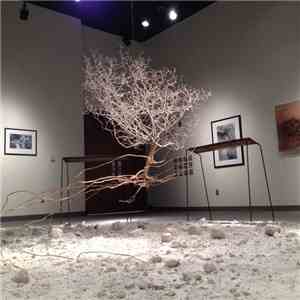 Bruce Licher - Suspension Of Disbelief