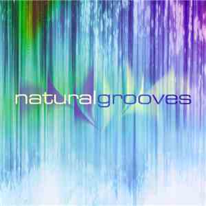 Dan Gibson - Natural Grooves