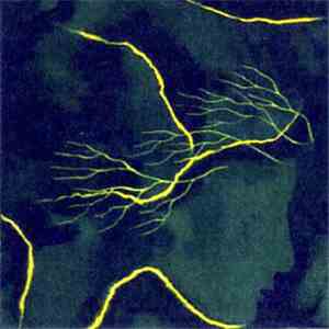 Thuja - Fable