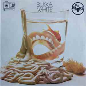 Bukka White - Bukka White