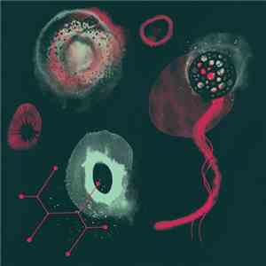 Polypores - The Impossibility