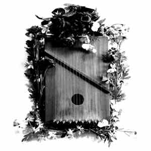 Sunk - Cease