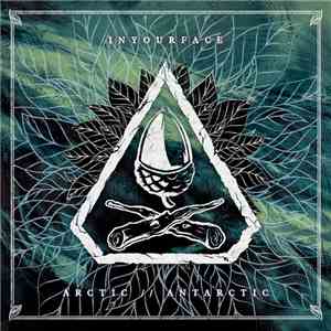 Inyourface - Arctic // Antarctic