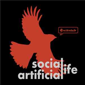 Boulderdash - Social Life Artificial