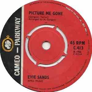 Evie Sands - Picture Me Gone