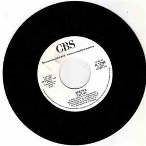 Picnic At The Whitehouse / Spagna - Success / Call Me